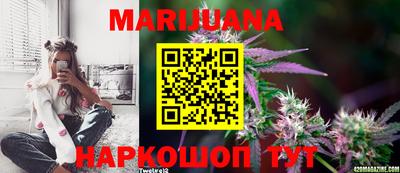 прущие грибы Апрелевка