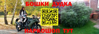 прущие грибы Апрелевка