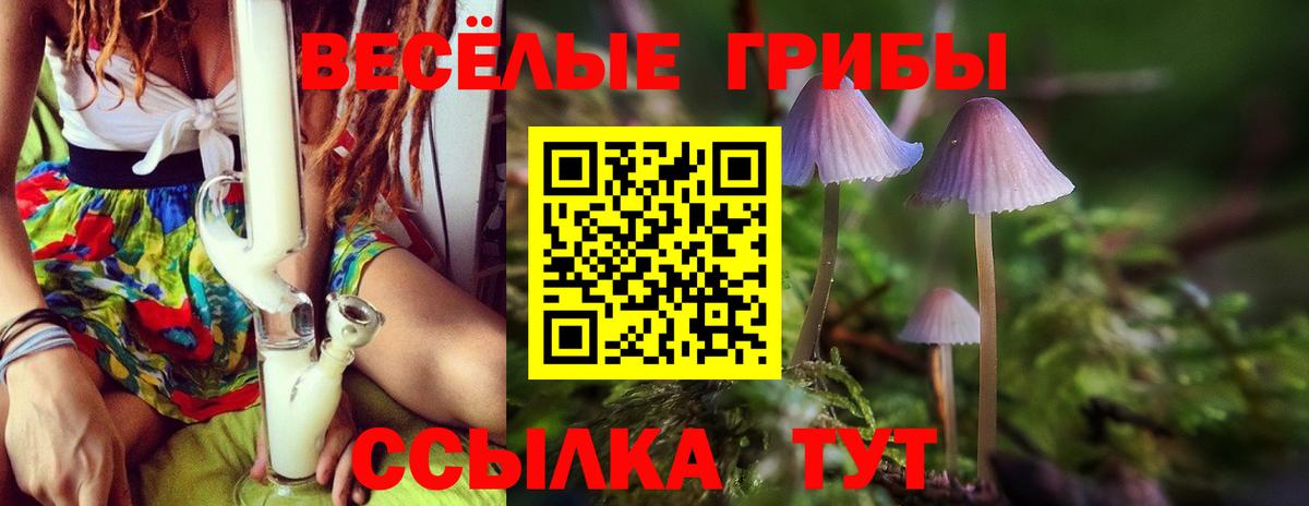 Галлюциногенные грибы мухоморы  Вход с VPN  Белая Калитва 
